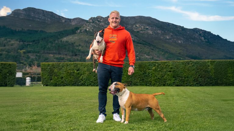 BobSure Pet Insurance: Affordable, dependable cover designed to protect pets