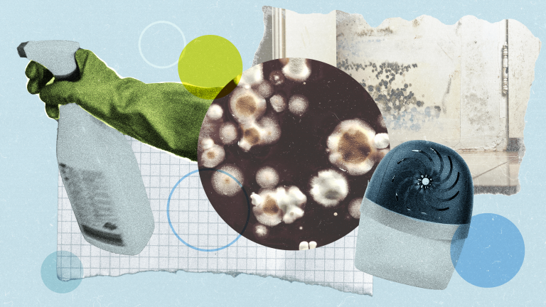 How to Get Rid of Mold—And When to Call in the Pros