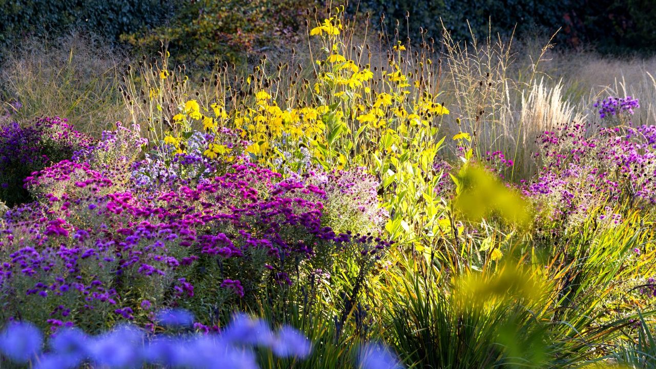 3 easy ways to use salt in the garden as a non-toxic and inexpensive alternative to harsh chemicals – it can even deter squirrels