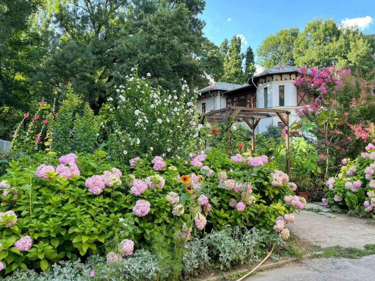 Small garden makeover: Tips and tricks to enhance your green oasis