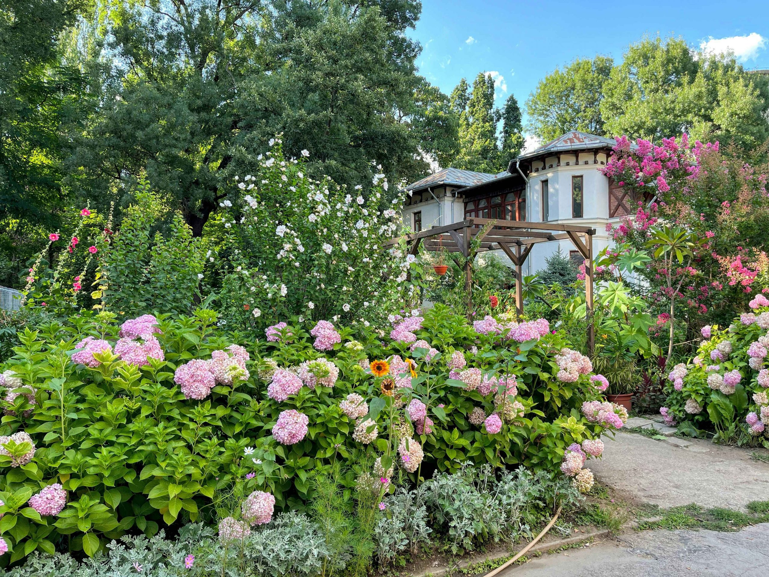 Small garden makeover: Tips and tricks to enhance your green oasis
