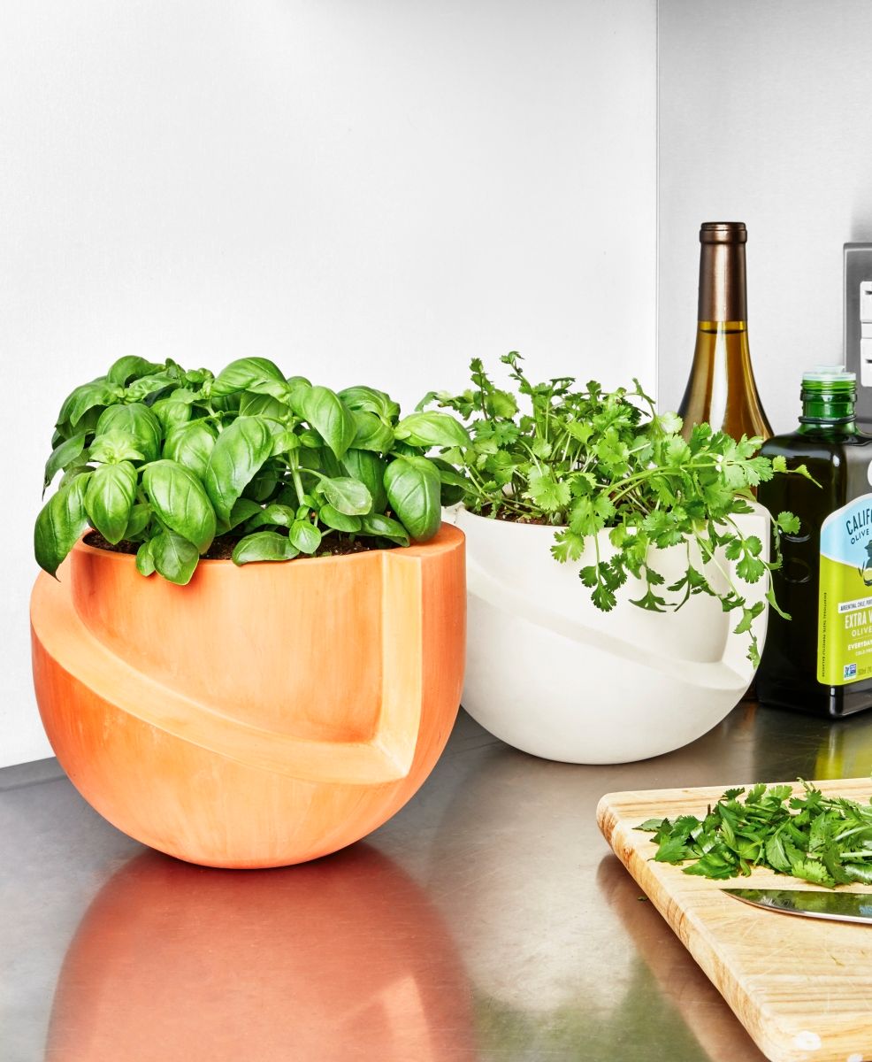 14 Best Indoor Planters To Build a Greener Space (2025)