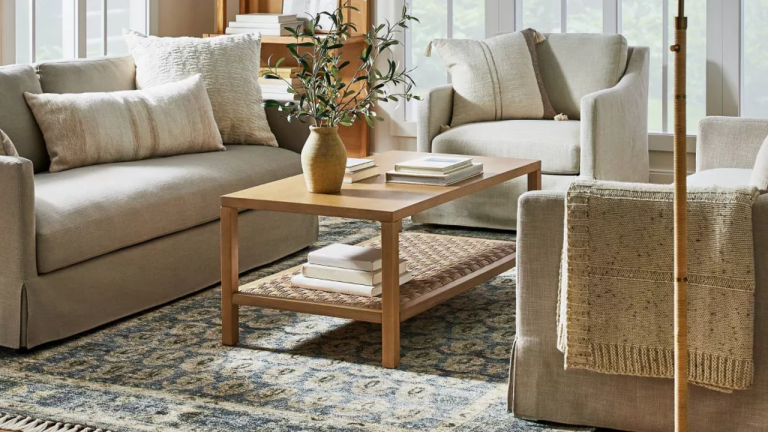 I’ve Been Struggling To Find a Vintage Rug Without Hidden Damages and a High Cost – Thankfully, This Shea McGee Style Nails the Aged Look Without the Hassle