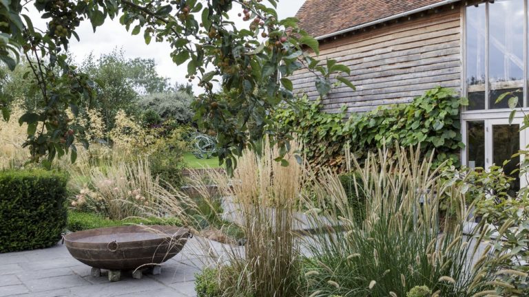 Wildlife Experts Urge Gardeners Not to Over-Tidy Yards This Fall – Discover the Vital Debris to Provide Shelter for Hibernating Frogs, Insects, and Reptiles