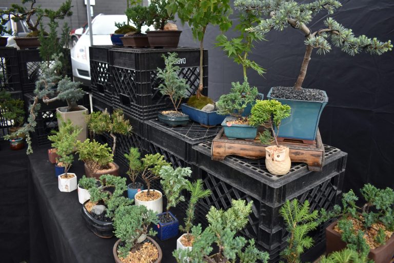 Gardening made easy: Practical solutions for busy gardeners