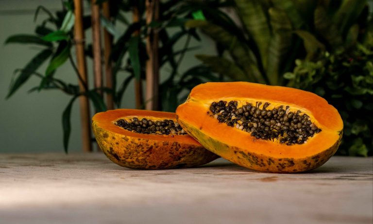 Container gardening: Tips for successfully growing papaya