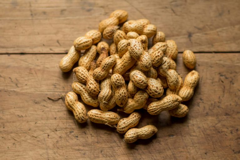 How to successfully grow peanuts in your garden