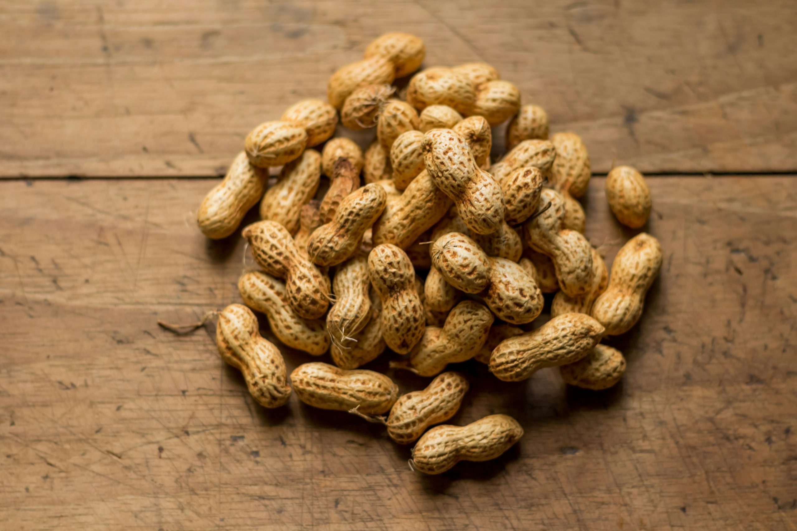 How to successfully grow peanuts in your garden