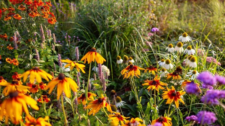 Landscape Designers Reveal 4 Key Ways They Prep Their Gardens In October –  You Won't Want To Skip These Tasks