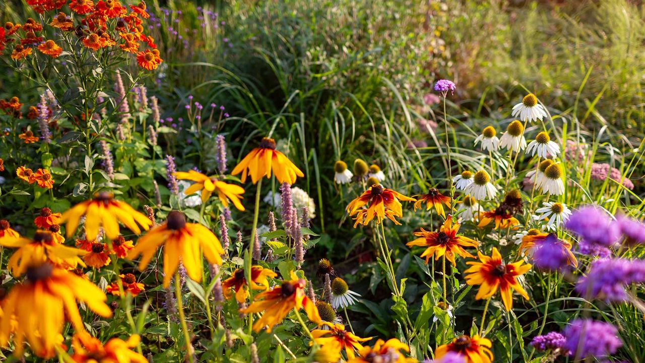 Landscape Designers Reveal 4 Key Ways They Prep Their Gardens In October –  You Won't Want To Skip These Tasks