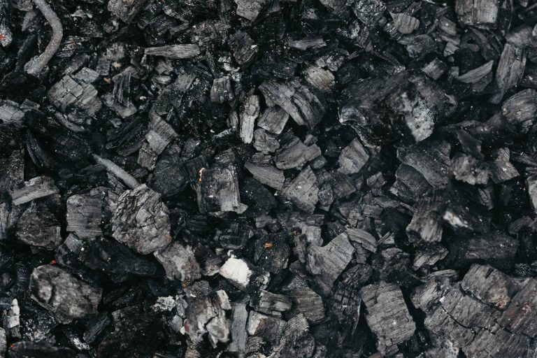 Transform your garden with biochar to enhance your soil