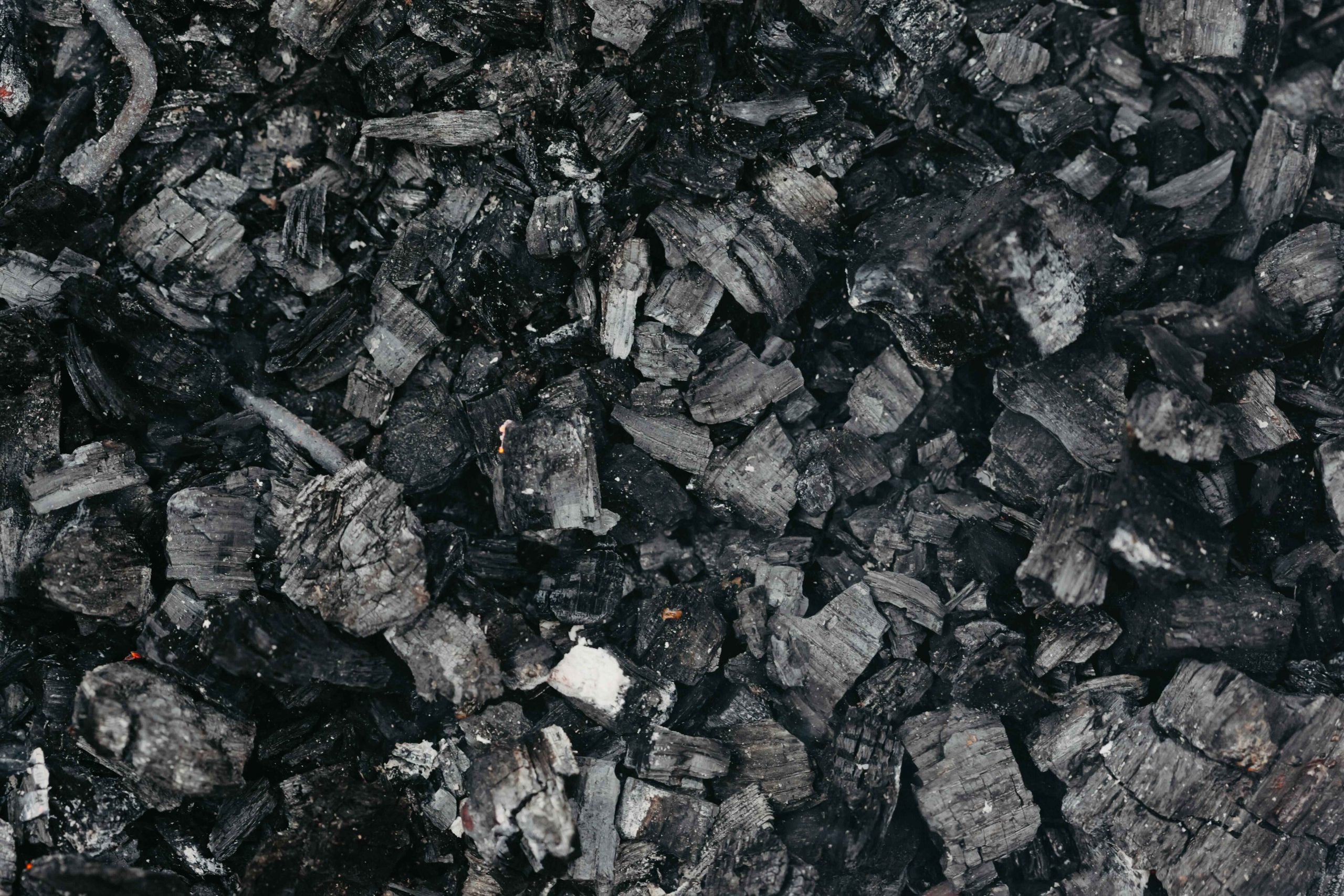 Transform your garden with biochar to enhance your soil