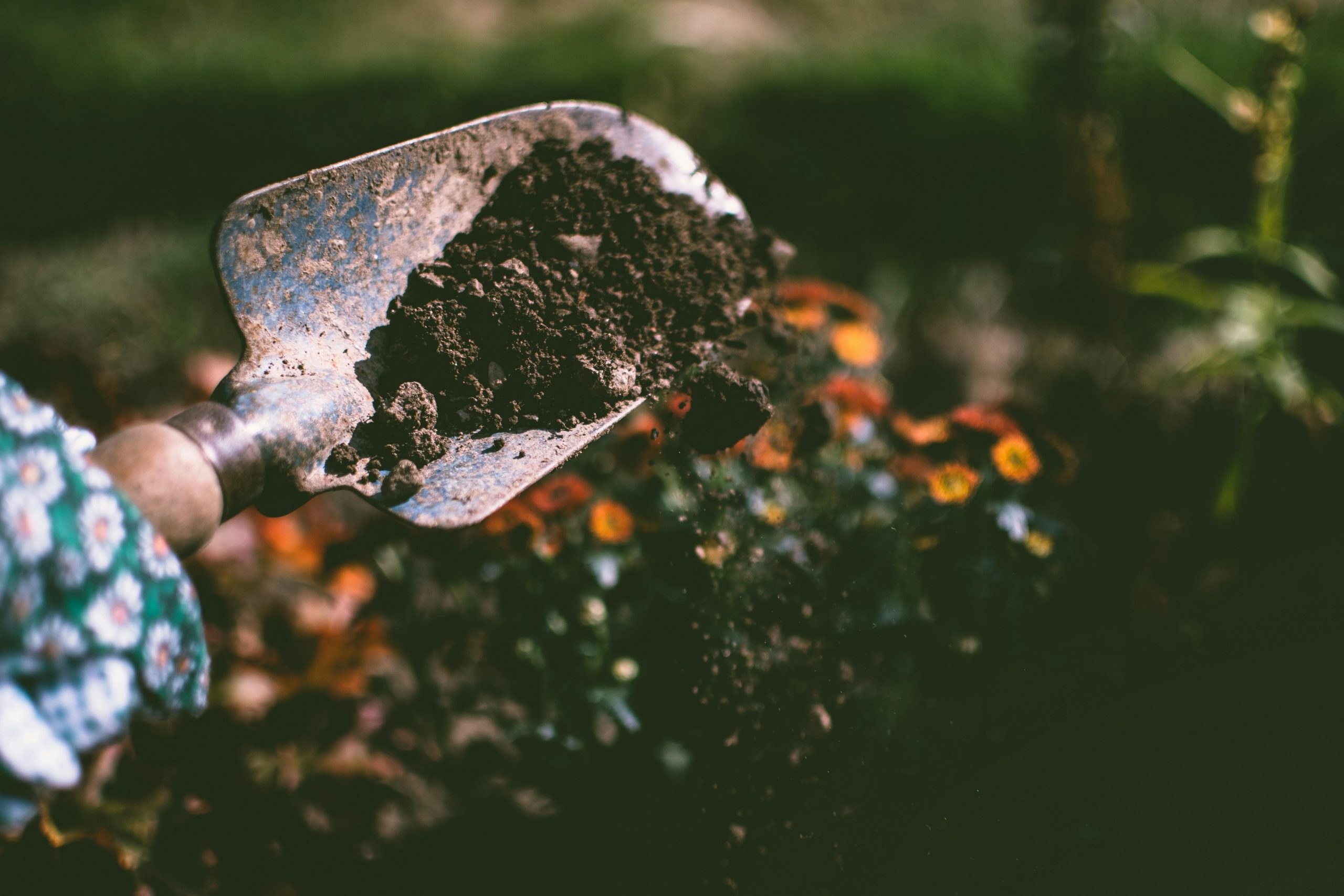Essential garden techniques to master before year-end