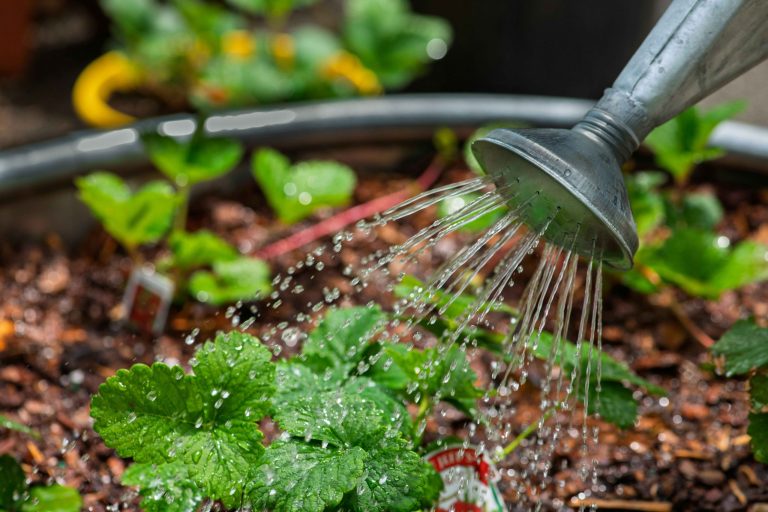 Summer guide: Become a water-wise warrior with these essential steps