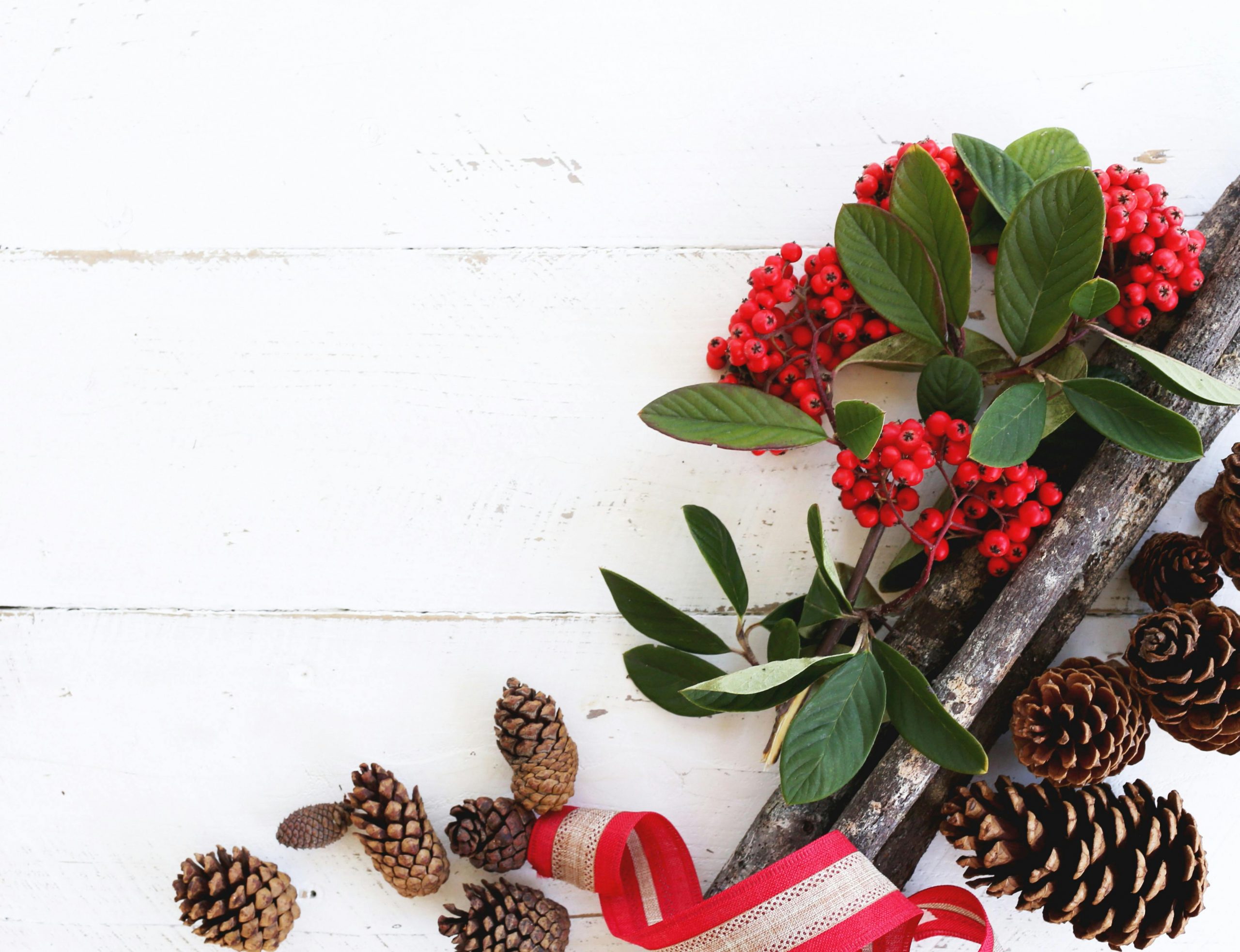 Creative Christmas craft ideas for festive decor and garden cheer