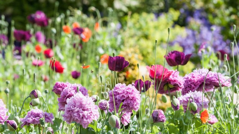 We Asked 3 Landscape Designers How They Prep Their Gardens in Late December – Here’s What They Always Do For a Stress-Free Yard in 2026
