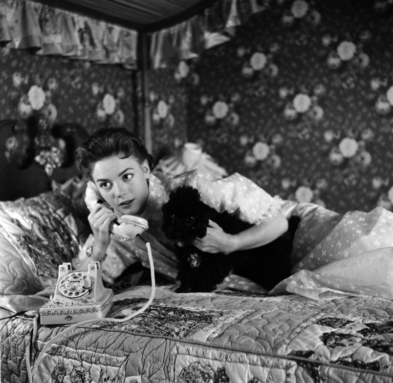 Natalie Wood at Home: The Silver Screen Siren’s Domestic Life in 20 Photos