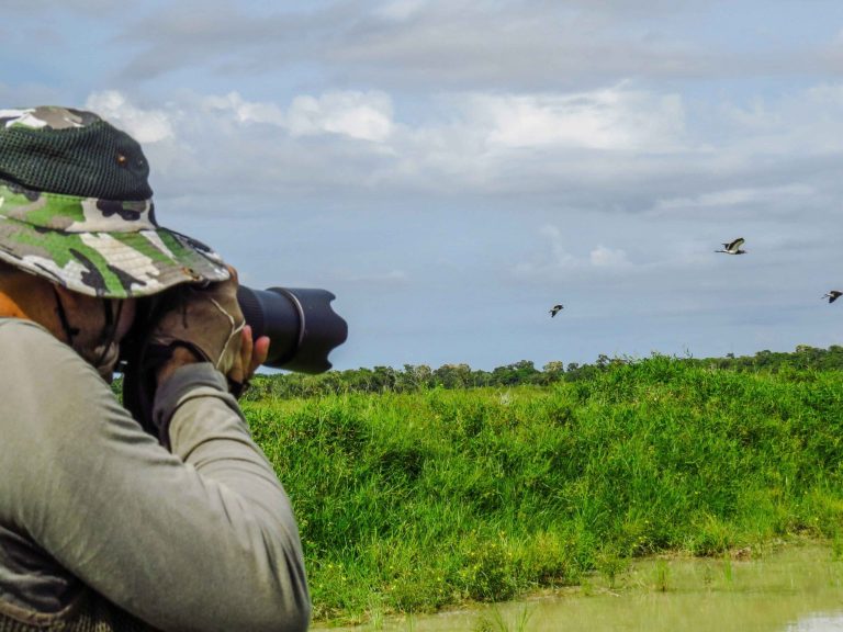 How birdwatching can boost your mental wellness and reduce stress