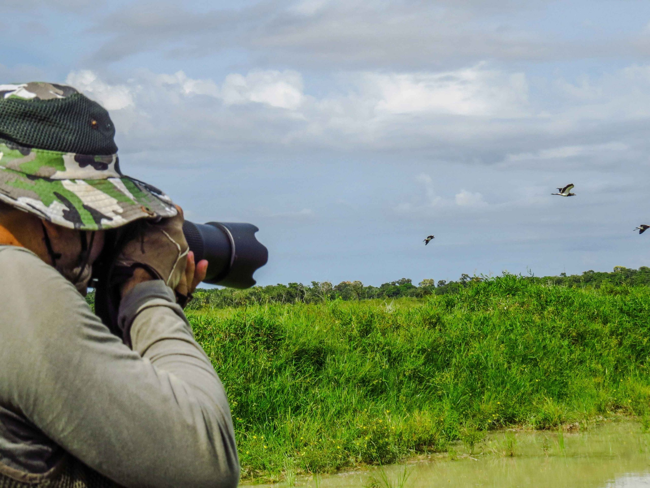 How birdwatching can boost your mental wellness and reduce stress