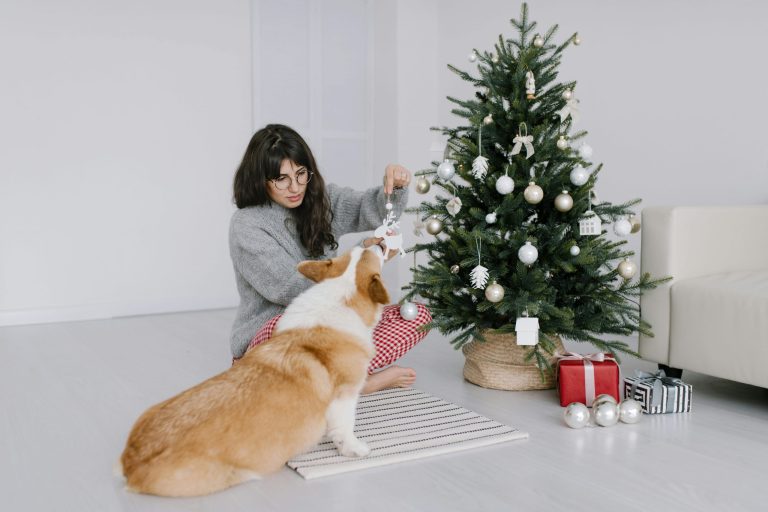 From tinsel to turkey, holiday hazards that can put your pets at risk
