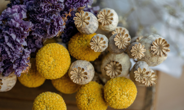 Petals & Roots: How I Dry Flowers – and Design With Them Naturally and Beautifully