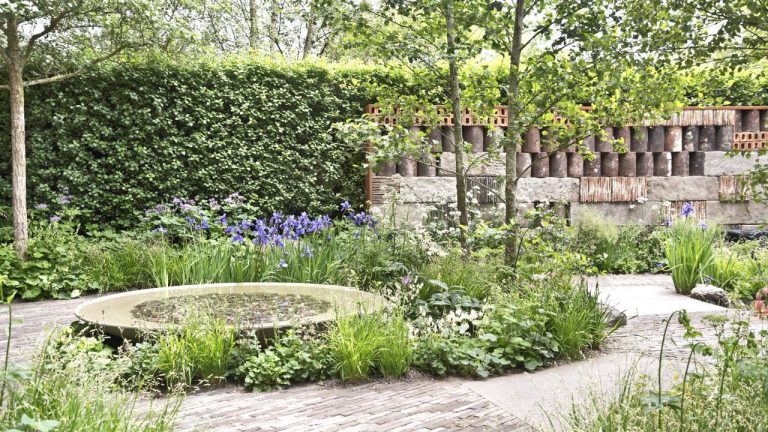 I’ve Spent Countless Winters Pruning Hedges – These Are the 7 Deciduous Hedges You Can Trim in January