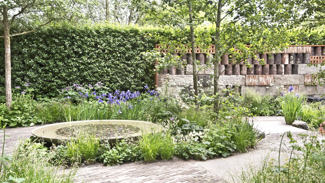 I’ve Spent Countless Winters Pruning Hedges – These Are the 7 Deciduous Hedges You Can Trim in January