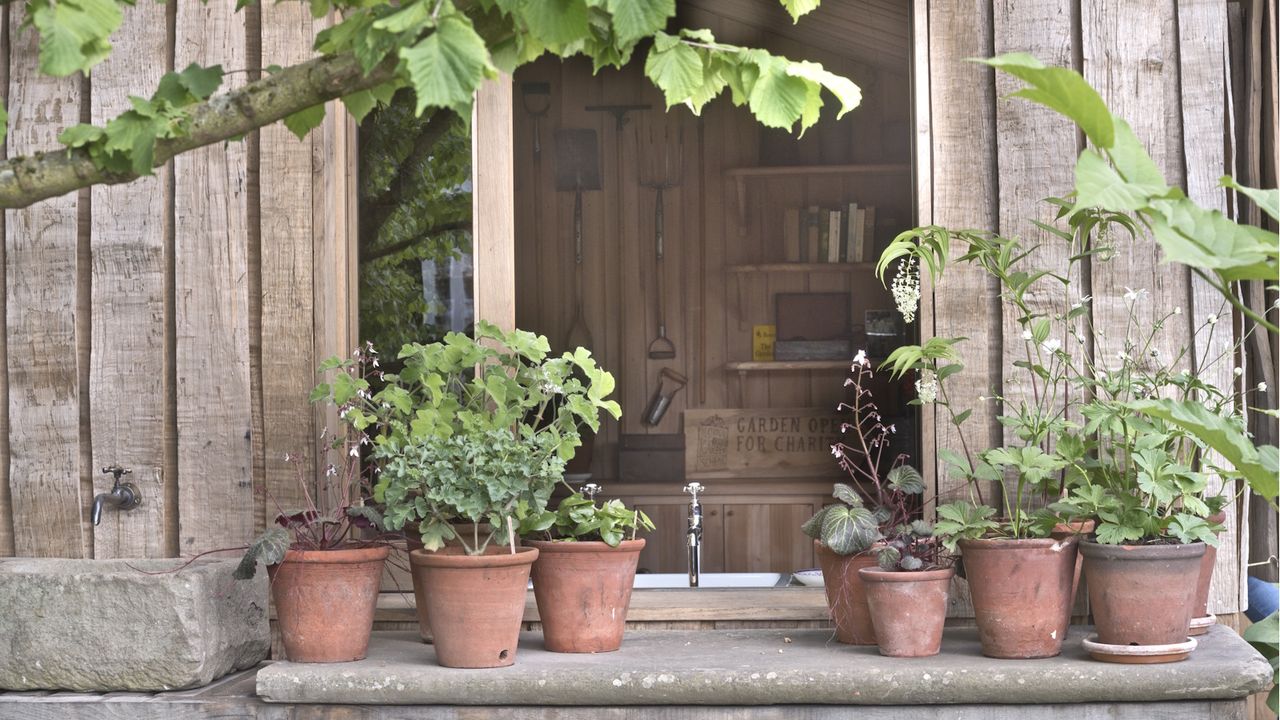 There Are 5 Steps to Creating a Pinterest-Worthy Potting Shed – and I’m Shopping These Beautiful, Timeless Staples to Make it Happen