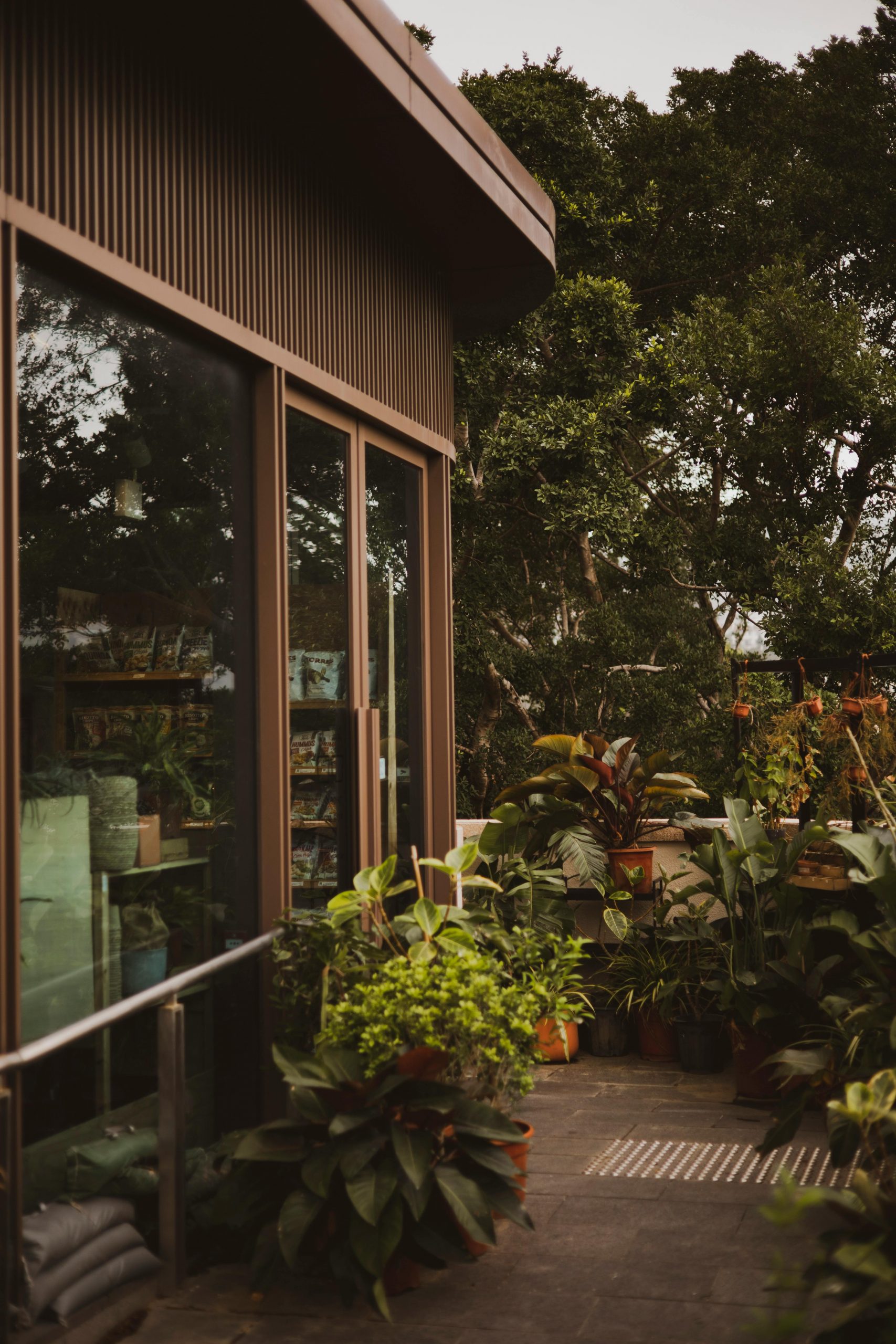 Summer plant shade: exactly when to add cover, what to use, and how to do it well