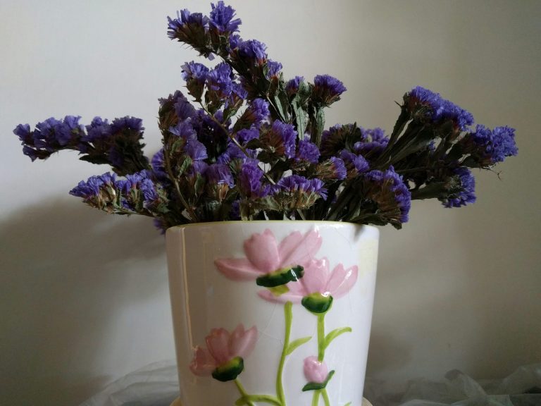 Overcome overstimulation: Discover the best plants for serenity