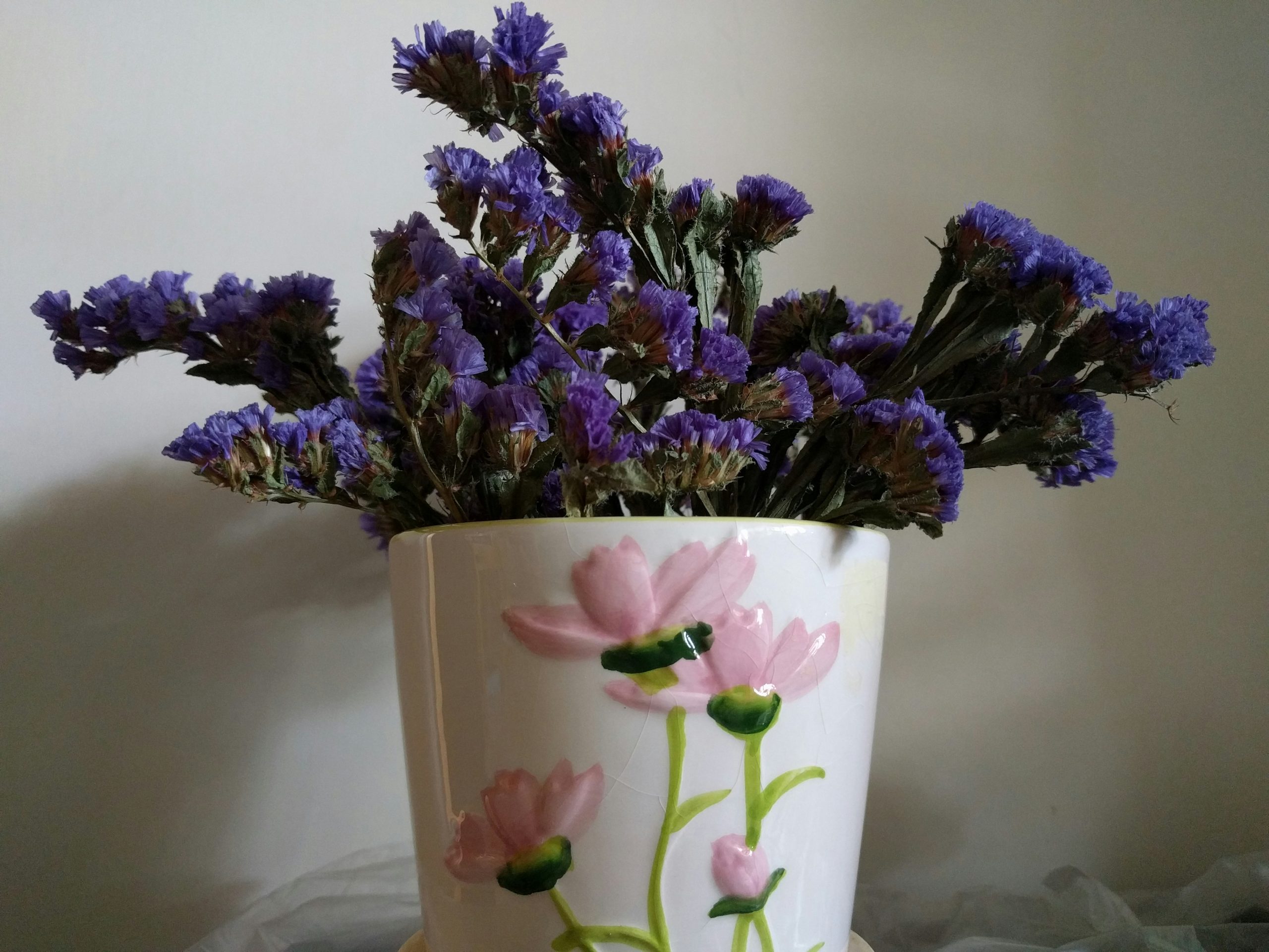 Overcome overstimulation: Discover the best plants for serenity
