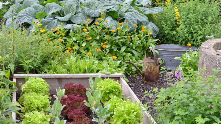 I'm Continually Harvesting HomeGrown Veg From Spring Until Fall in Just 1 Square Yard Thanks to This Genius Space-Saving Method