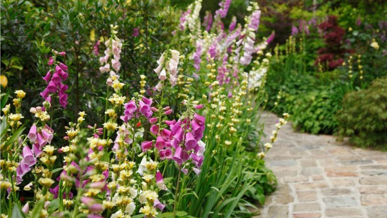 Welcome the First Day of Spring with 3 Easy Garden Tasks – Do Them This Weekend to Fast-Track Your Flower Beds