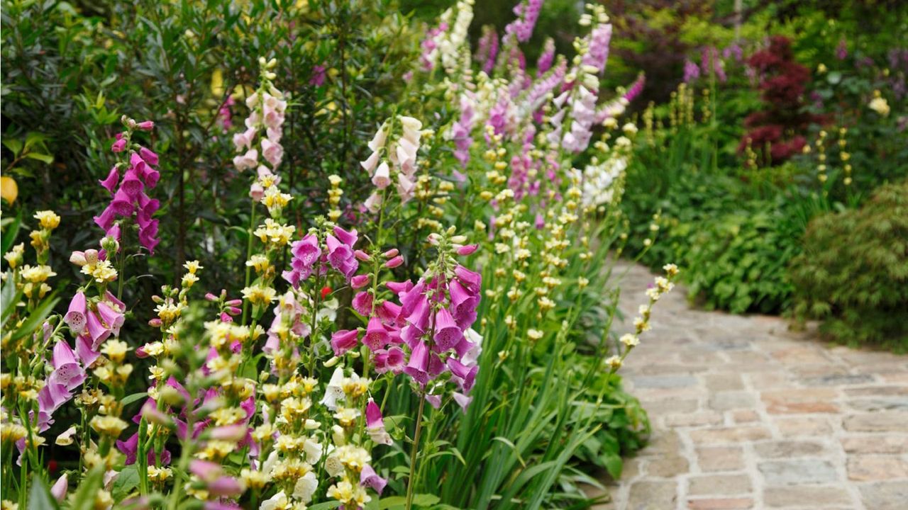Welcome the First Day of Spring with 3 Easy Garden Tasks – Do Them This Weekend to Fast-Track Your Flower Beds