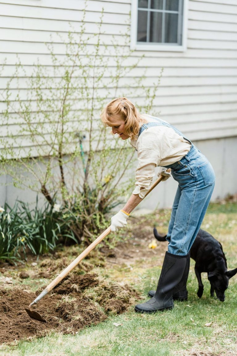 How to prepare your perennial beds for winter