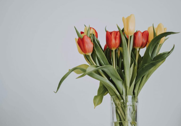 How to make tulip bouquets last longer  
