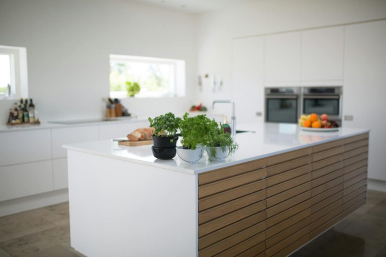 Low-light indoor herbs that will thrive through autumn and winter