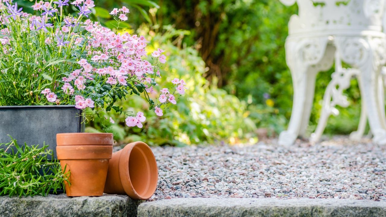 Most Gardeners Ignore This Clutter – But it Could Cost You Spring Color