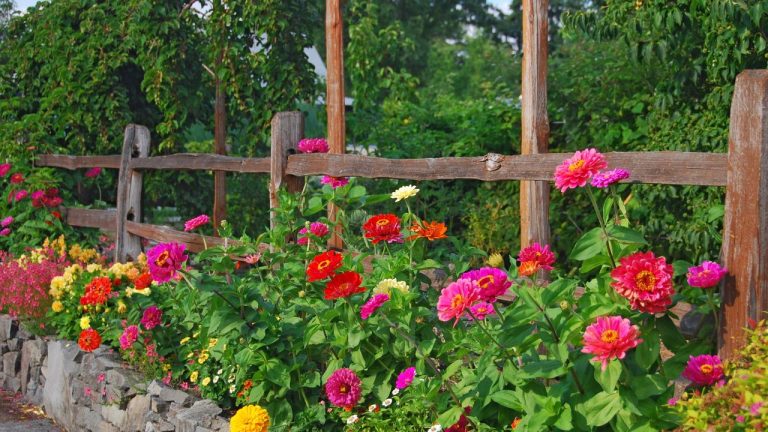 The 1 Flower Seed You Can Scatter in April and Ignore – For Bold, Long-Lasting Blooms from Summer to Fall