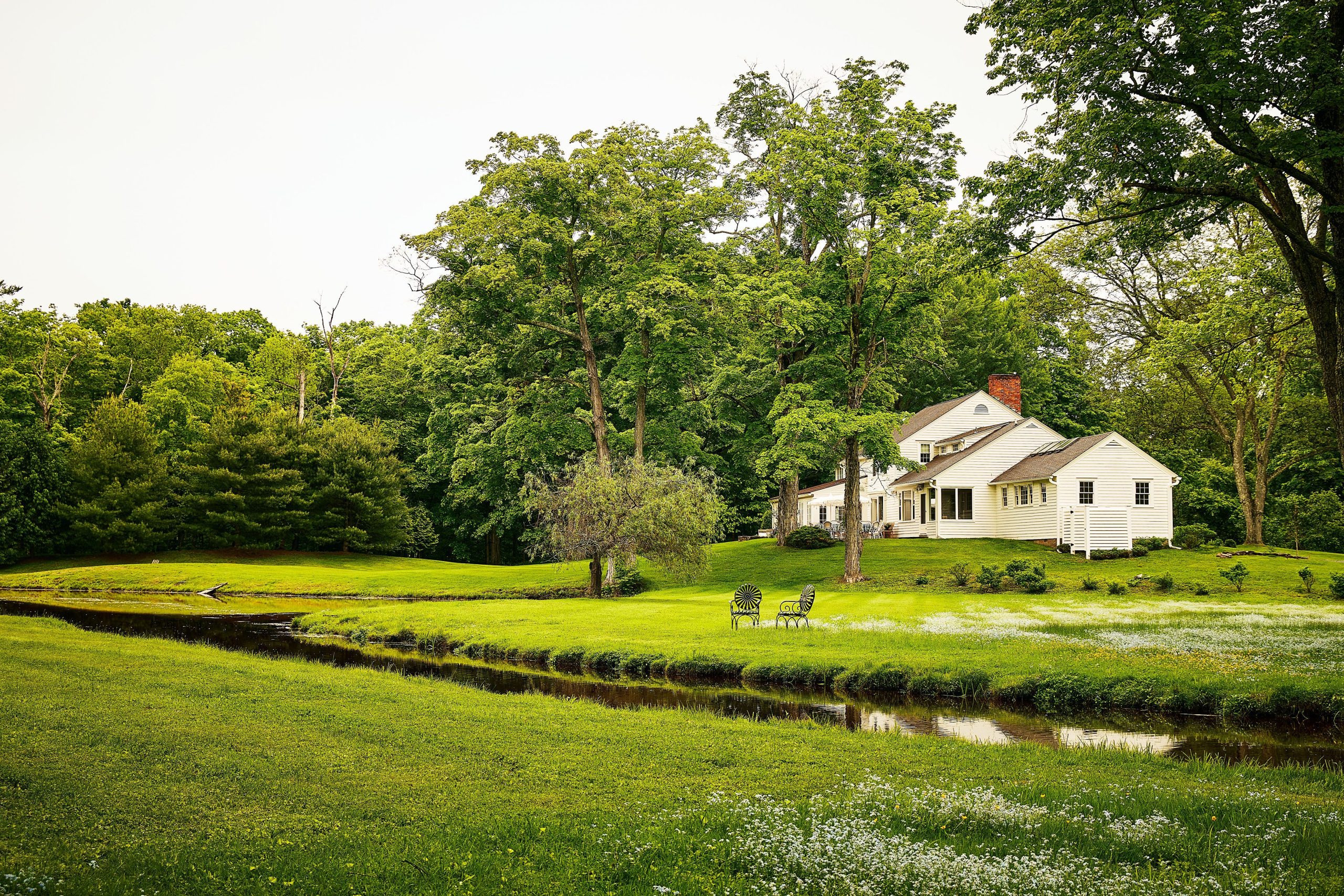 No Mow May Can Have You Wondering, When Should You Mow Your Lawn? Experts Weigh In