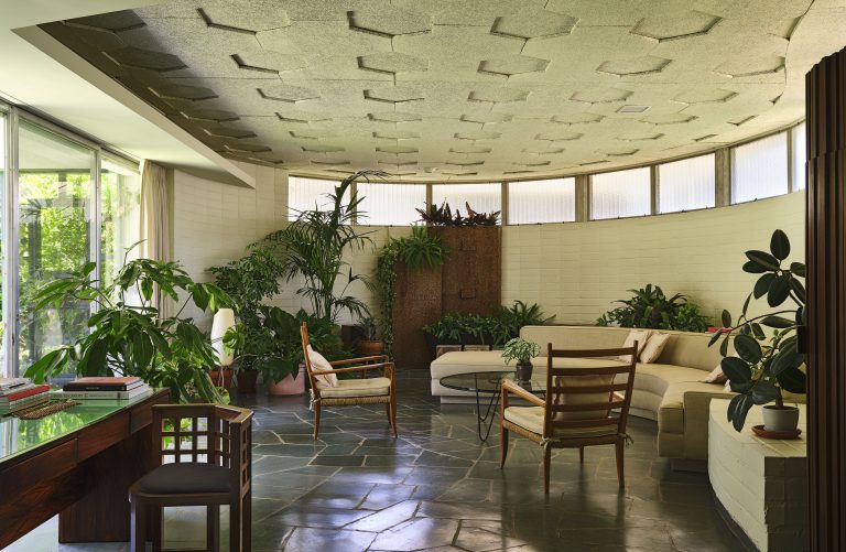 6 Houseplants That Can Help Cool Your Home This Summer