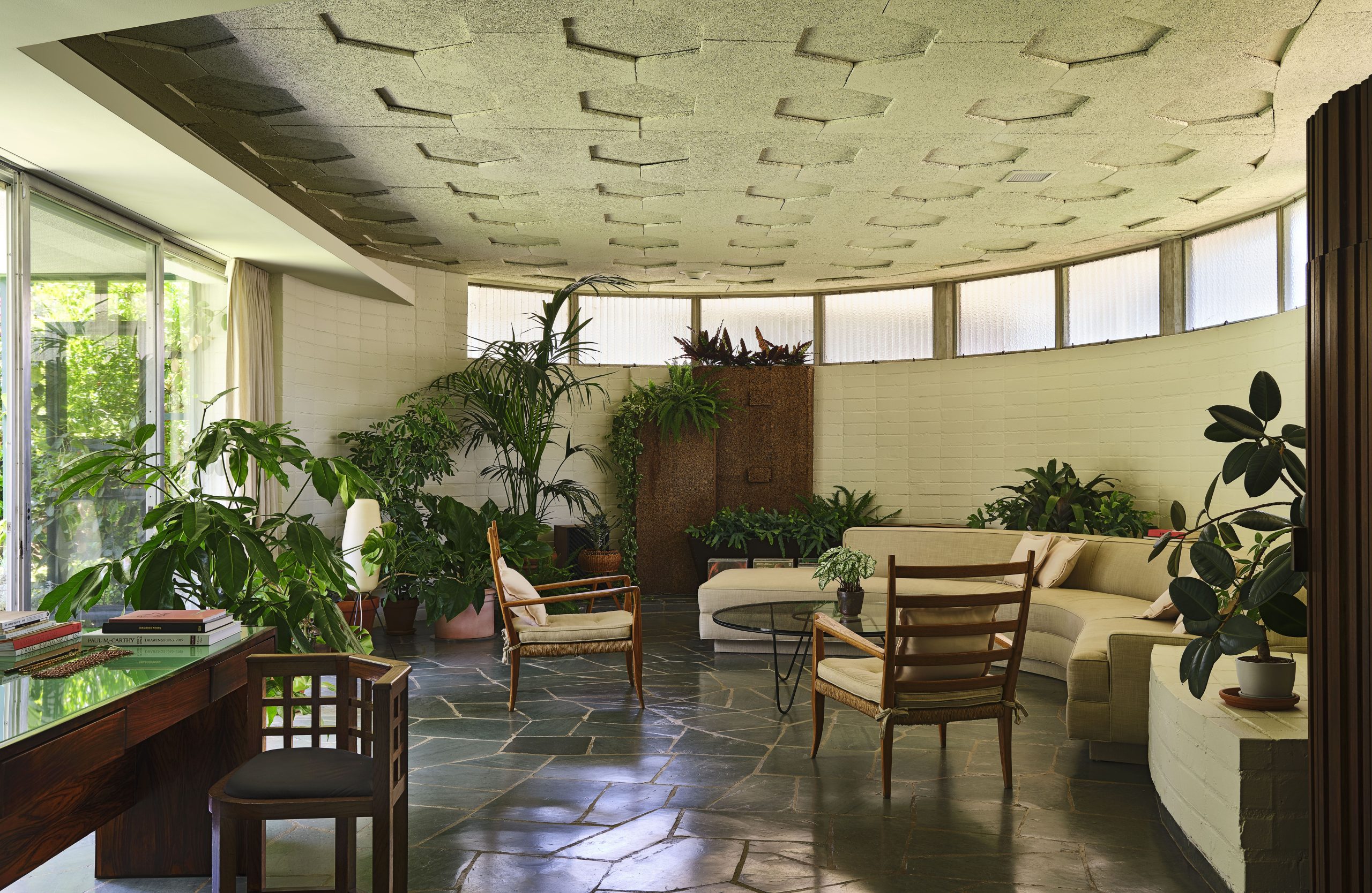 6 Houseplants That Can Help Cool Your Home This Summer