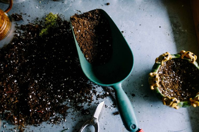 Easy ways to add potassium to your soil for healthier plants 