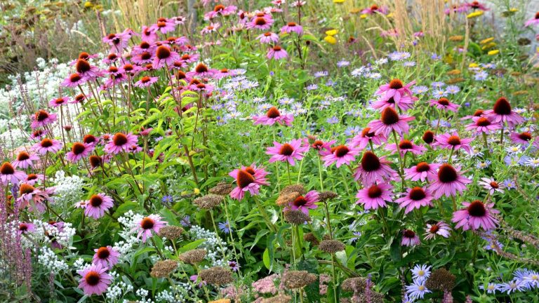 These Low-Pollen Plant Swaps Can Help To Reduce Allergy Symptoms – So You Can Enjoy Your Garden This Spring