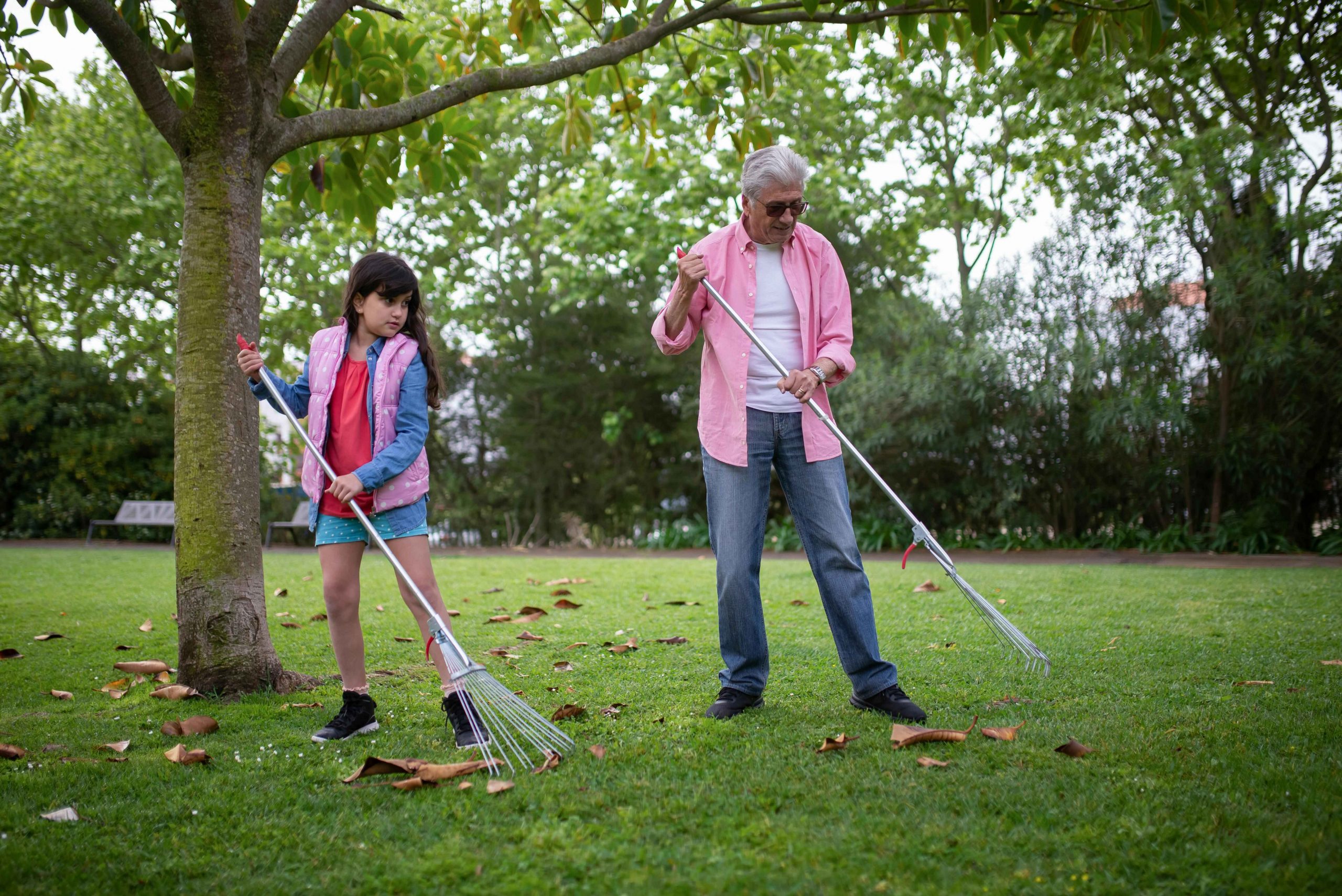 Autumn lawn survival tips: What your grass needs 