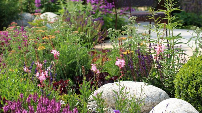 What’s Quietly Replacing Traditional Cottage Borders? Designers Are Embracing a Softer, Easier Planting Style This Spring