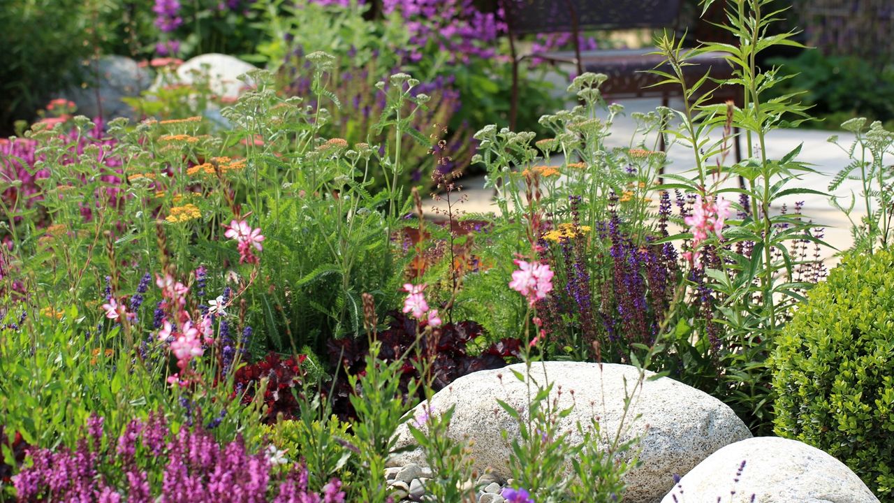 What’s Quietly Replacing Traditional Cottage Borders? Designers Are Embracing a Softer, Easier Planting Style This Spring