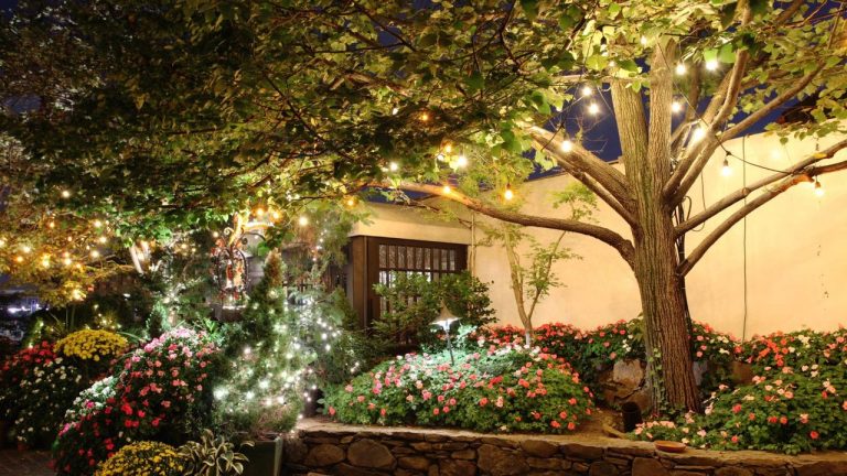 Lidl’s Solar Blossom Lights Transform Your Garden Into an Enchanted Forest at Nightfall
