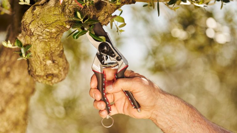 These Professional-Grade Pruning Shears Are an Investment Worth Making – for Years of Efficient Gardening