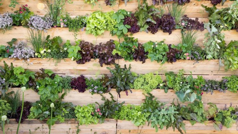 Amazon's $25 Wall-Mounted Planter Set Will Maximize the Space in My Small Yard – Instantly Making It Feel Bigger and Greener